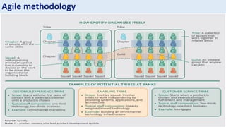 Sotiris Syrmakezis
Agile methodology
 