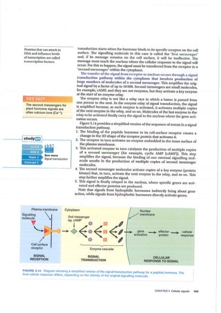 2019   y12 biology - cellular chatter source text