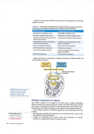 2019   y12 biology - cellular chatter source text