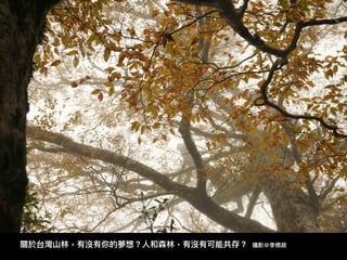 關於台灣⼭山林林，有沒有你的夢想？⼈人和森林林，有沒有可能共存？ 攝影@李根政
 
