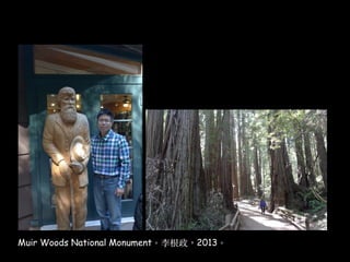 Muir Woods National Monument。李根政，2013。
 