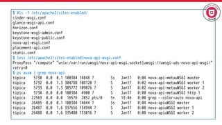 $ ¥ls -1 /etc/apache2/sites-enabled/
cinder-wsgi.conf
glance-wsgi-api.conf
horizon.conf
keystone-wsgi-admin.conf
keystone-wsgi-public.conf
nova-api-wsgi.conf
placement-api.conf
static.conf
$ less /etc/apache2/sites-enabled/nova-api-wsgi.conf
ProxyPass "/compute" "unix:/var/run/uwsgi/nova-api-wsgi.socket|uwsgi://uwsgi-uds-nova-api-wsgi/"
retry=0
$ ps auxw | grep nova-api
tipica 5730 0.0 0.1 100384 14048 ? Ss Jan17 0:04 nova-api-metauWSGI master
tipica 5732 0.0 1.3 304788 108120 ? S Jan17 0:02 nova-api-metauWSGI worker 1
tipica 5733 0.0 1.3 305772 109076 ? S Jan17 0:02 nova-api-metauWSGI worker 2
tipica 5734 0.0 0.0 100384 4900 ? S Jan17 0:00 nova-api-metauWSGI http 1
tipica 22563 0.0 0.0 16576 2052 pts/0 S+ 13:46 0:00 grep --color=auto nova-api
tipica 26485 0.0 0.1 100384 14044 ? Ss Jan17 0:04 nova-apiuWSGI master
tipica 26487 0.0 1.6 337656 134944 ? S Jan17 0:08 nova-apiuWSGI worker 1
tipica 26488 0.0 1.6 335480 133016 ? S Jan17 0:08 nova-apiuWSGI worker 2
 