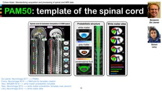 Cohen-Adad: Standardizing acquisition and processing of spinal cord MRI data
PAM50: template of the spinal cord
18
De Leen...