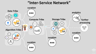“Inter-Service Network”
Algorithm Tribe
Storage Tribe
analytics
further
processing
curation
Compute Tribe
Data Tribe
curation
curation
curation
 