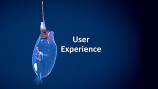 User
Experience
 