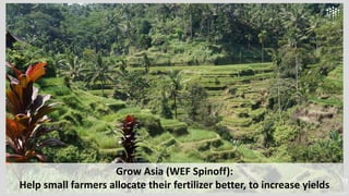 Grow Asia (WEF Spinoff):
Help small farmers allocate their fertilizer better, to increase yields
 