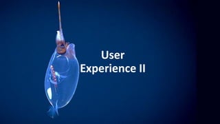 User
Experience II
 