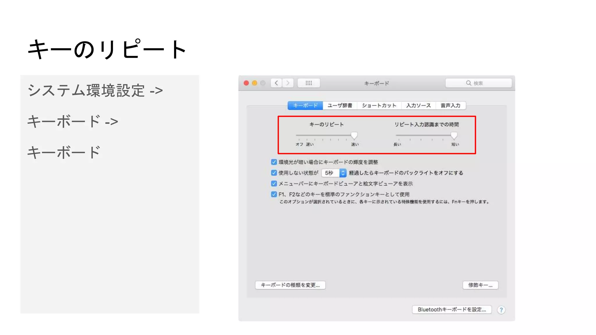 キーのリピート
システム環境設定 ->
キーボード ->
キーボード
 