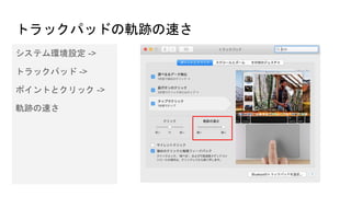 トラックパッドの軌跡の速さ
システム環境設定 ->
トラックパッド ->
ポイントとクリック ->
軌跡の速さ
 
