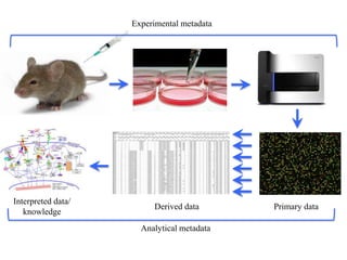 Primary dataDerived data
Interpreted data/
knowledge
Experimental metadata
Analytical metadata
 