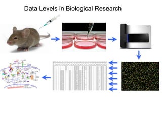 Data Levels in Biological Research
 