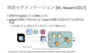 䥻Ʃ` [M. Havaei+2017]
? ڤpatchȤCNN
? global () local () ΁I
]
? , ˮʤ륵Υ`ͥǮz
M. Havaei et al., Brain Tumor Segmentation with Deep Neural Networks, Medical Image Analysis (2017)
 
