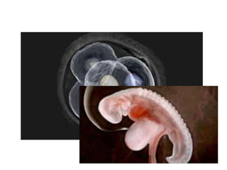 2019 03 05_biological_databases_part4_v_upload