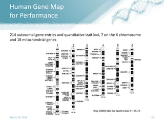 Human Gene Map
for Performance
March 19, 2019 55
214 autosomal gene entries and quantitative trait loci, 7 on the X chromosome
and 18 mitochondrial genes
 