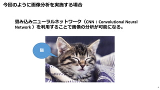 今回のように画像分析を実施する場合
4
畳み込みニューラルネットワーク（CNN：Convolutional Neural
Network ）を利用することで画像の分析が可能になる。
猫
 