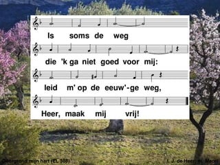 Doorgrond mijn hart (EL 308) t. J. de Heer; m. Maori
 