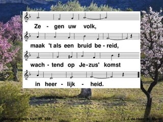 Doorgrond mijn hart (EL 308) t. J. de Heer; m. Maori
 