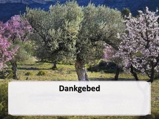 Dankgebed
 