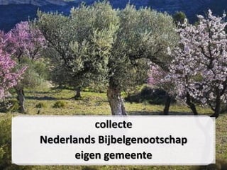 collecte
Nederlands Bijbelgenootschap
eigen gemeente
 