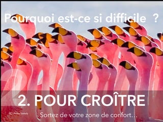 @digitalmetzger
2. POUR CROÎTRE
Sortez de votre zone de confort…CC - Pedro Szekely
2
Pourquoi est-ce si difﬁcile ?
 