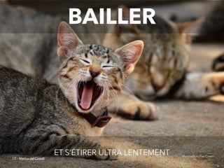 @digitalmetzger
BAILLER
ET S’ÉTIRER ULTRA LENTEMENT MartineBoucher.Coach
CC - Marina del Castell
 