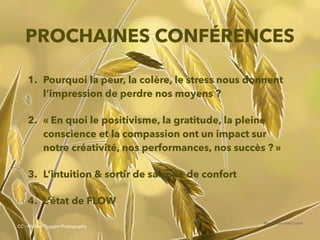 @digitalmetzger
PROCHAINES CONFÉRENCES
1. Pourquoi la peur, la colère, le stress nous donnent
l’impression de perdre nos moyens ?
2. « En quoi le positivisme, la gratitude, la pleine
conscience et la compassion ont un impact sur
notre créativité, nos performances, nos succès ? »
3. L’intuition & sortir de sa zone de confort
4. L’état de FLOW
MartineBoucher.Coach
CC - Michael Taggart Photography
 