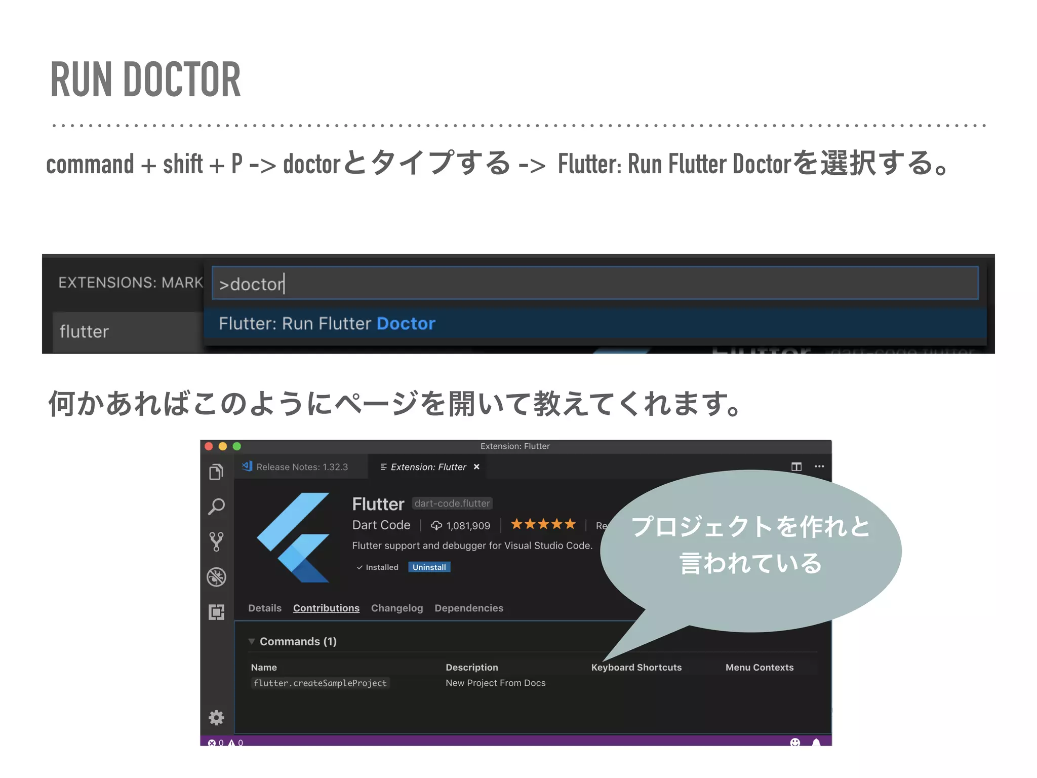 RUN DOCTOR
command + shift + P -> doctorとタイプする ->  Flutter: Run Flutter Doctorを選択する。
何かあればこのようにページを開いて教えてくれます。
プロジェクトを作れと
言われている
 