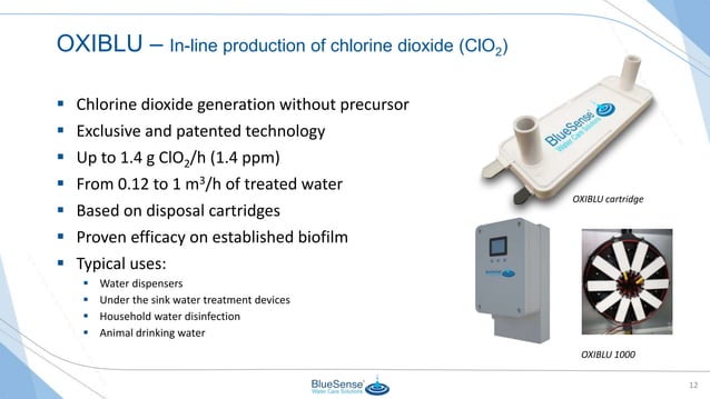 BlueSense General Presentation | PPT