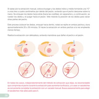 Si optas por la extracción manual, coloca el pulgar y los dedos índice y medio formando una “C”
a unos tres o cuatro centímetros por detrás del pezón, evitando que el pecho descanse sobre la
mano. Se empujan los dedos hacia atrás (hacia las costillas), sin separarlos y, a continuación, se
ruedan los dedos y el pulgar hacia el pezón. Vete rotando la posición de los dedos para vaciar
otras partes del pecho.
Este proceso (colocar los dedos, empujar hacia dentro, rodar) se repite en ambos pechos y dura
aproximadamente 20 o 30 minutos. Si haces la extracción en ambos pechos a la vez emplearás
menos tiempo.
Realiza la extracción con delicadeza, evitando maniobras que dañen el pecho o el pezón.
En todos los casos, independientemente del método de extracción que elijas, es recomendable
que comprimas el pecho durante la extracción para aumentar la eficacia, y si usas un sacaleches
es conveniente completar la extracción con un vaciado manual. Busca asesoramiento para elegir
el sacaleches más adecuado para ti.
36
 