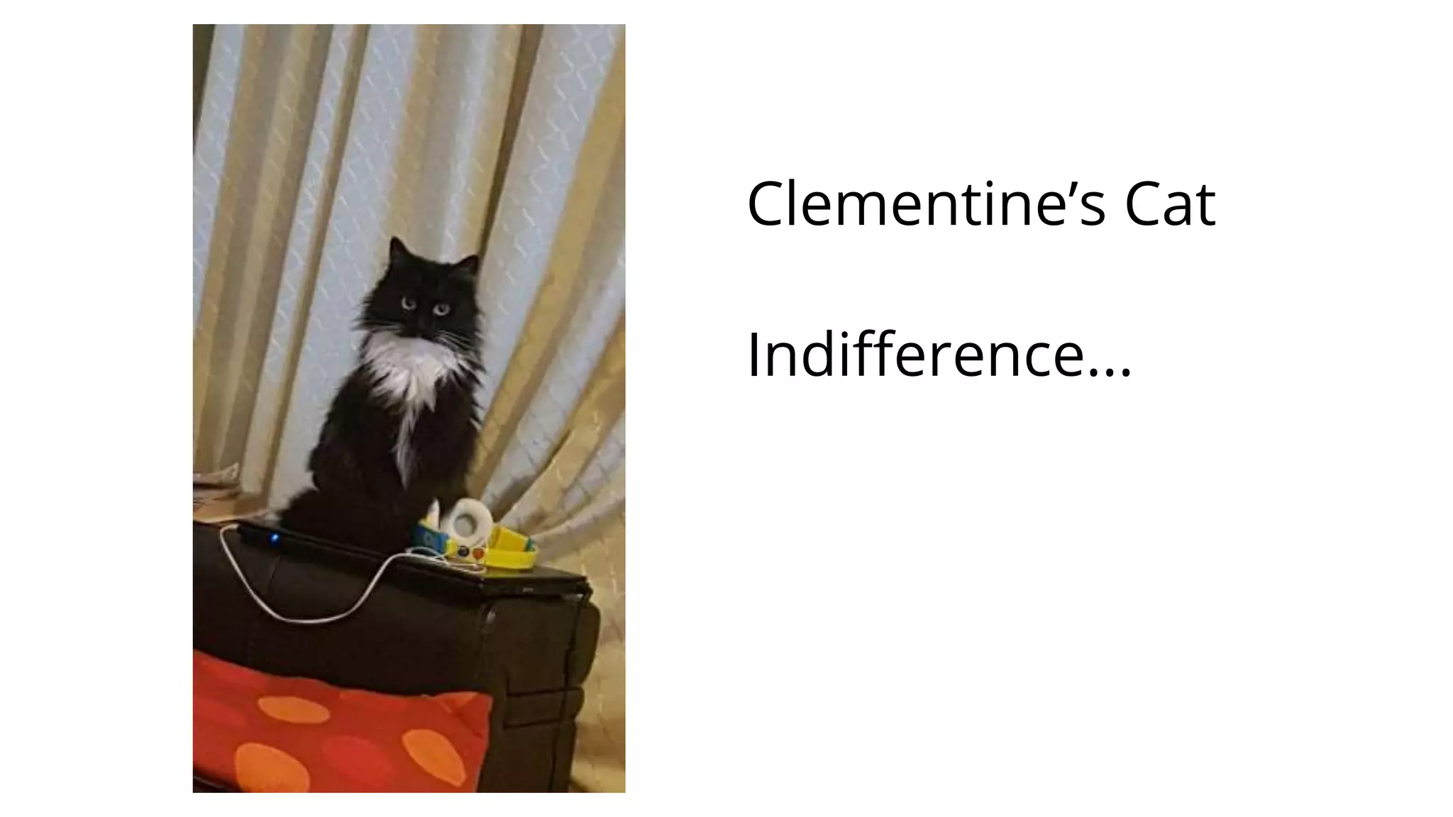 Clementine’s Cat
Indifference...
 