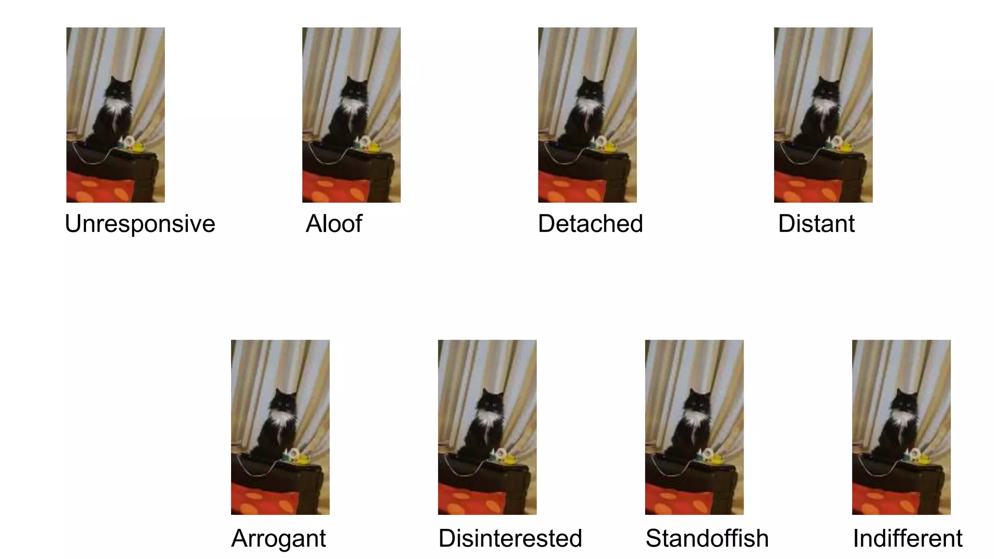 Indifferent
Aloof
StandoffishArrogant Disinterested
Detached DistantUnresponsive
 