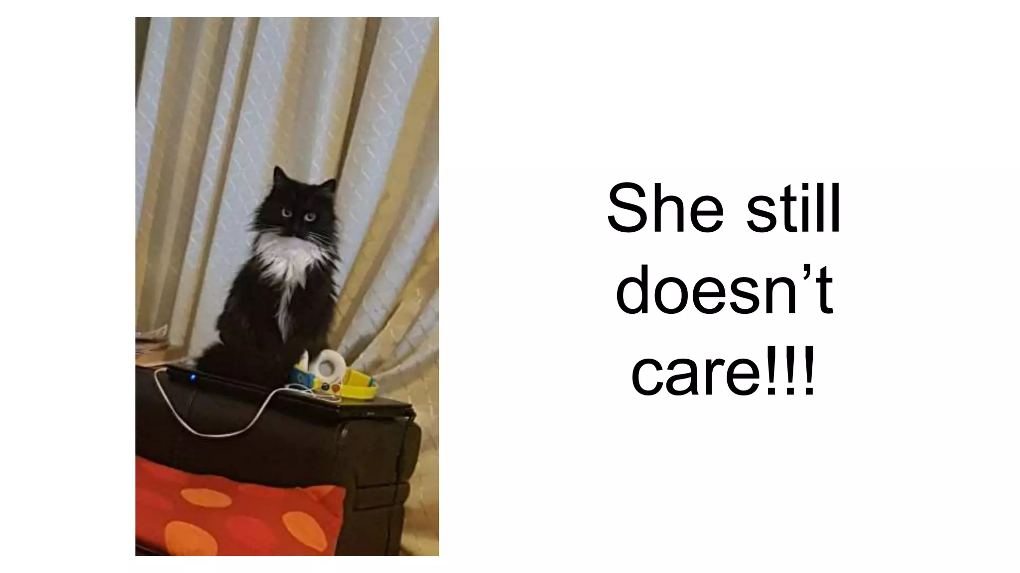 She still
doesn’t
care!!!
 