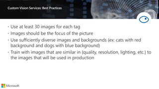 Custom Vision Services: Best Practices
 