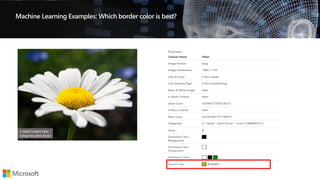 Machine Learning Examples: Which border color is best?
 