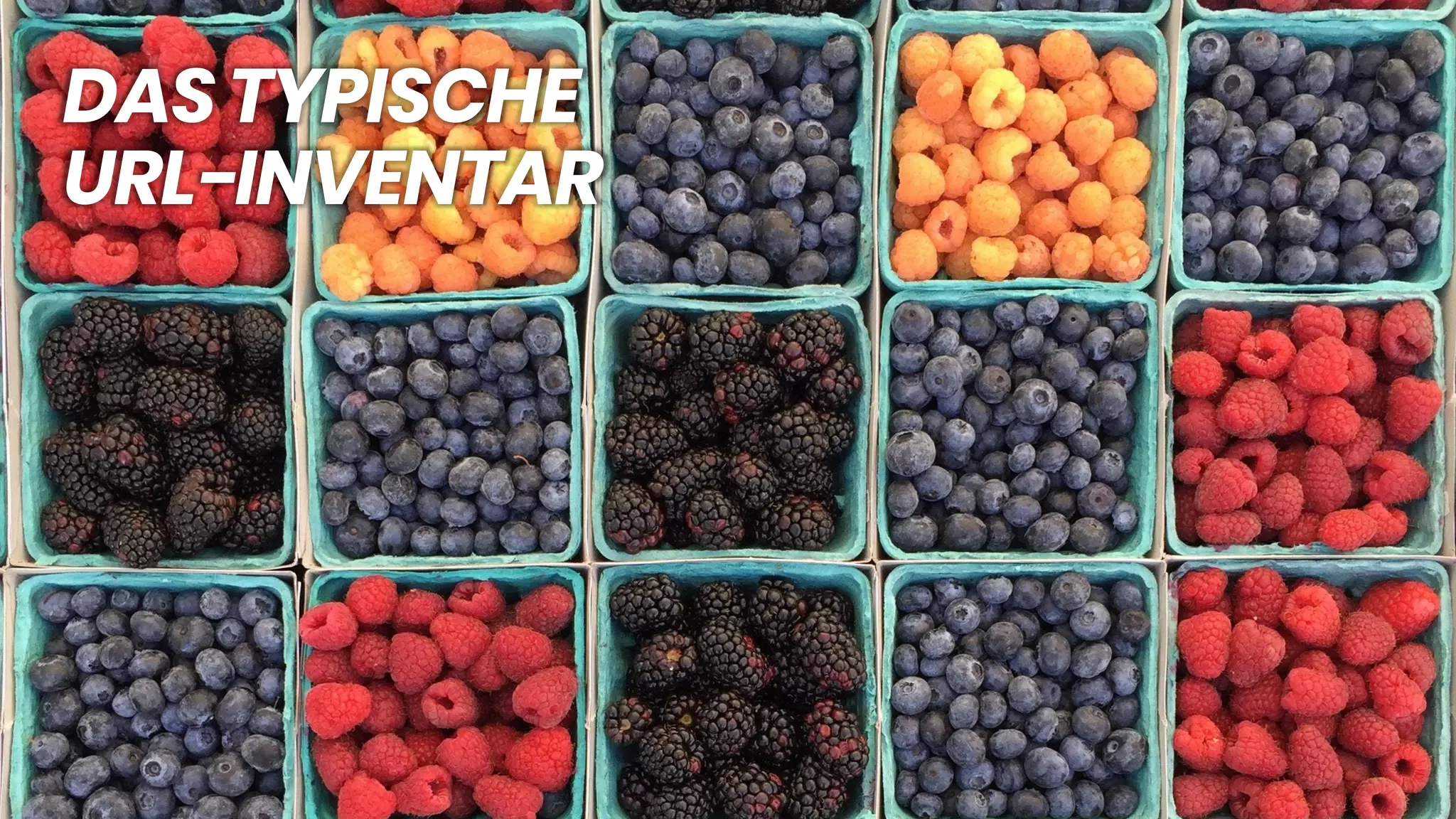 DAS TYPISCHE
URL-INVENTAR
 