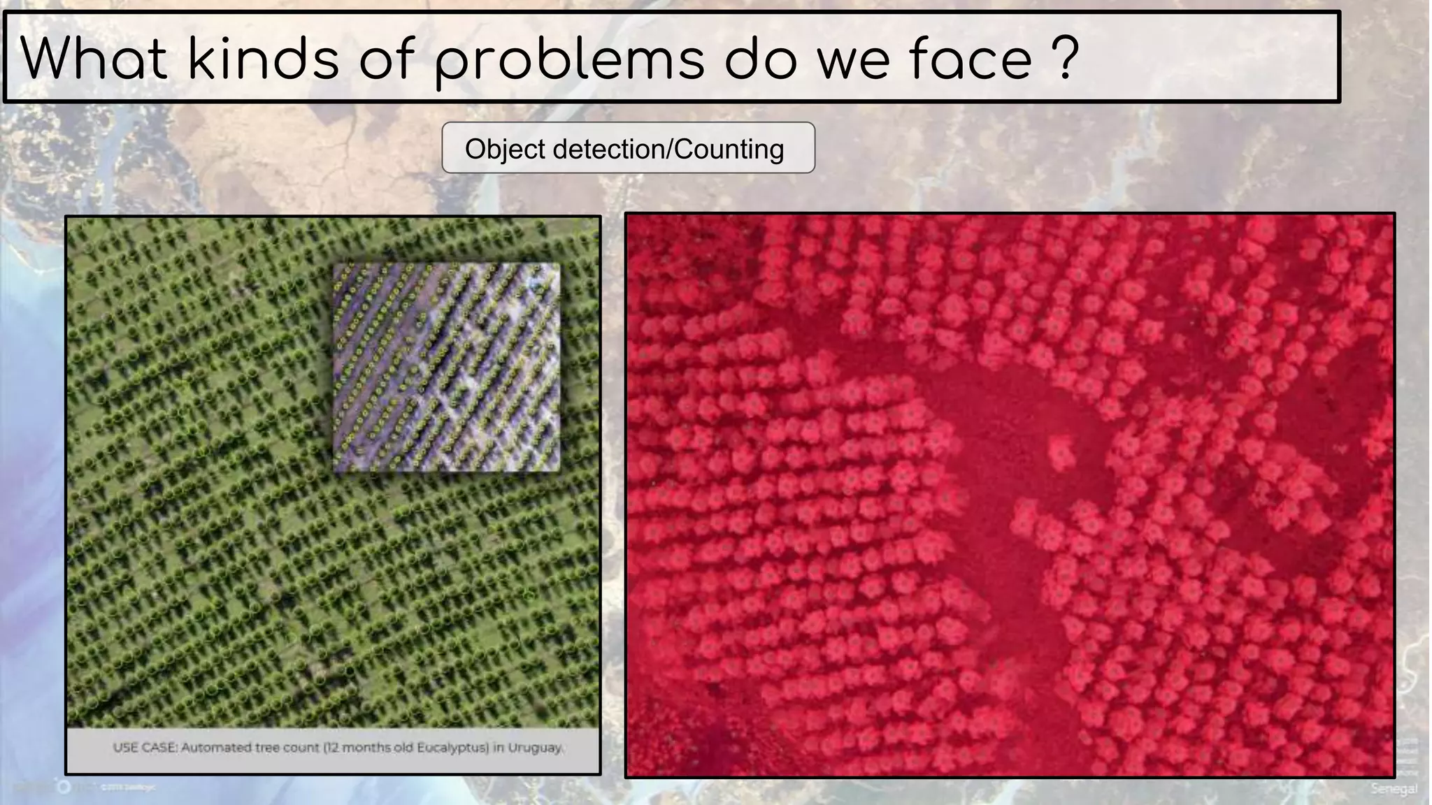 Object detection/Counting
What kinds of problems do we face ?
 