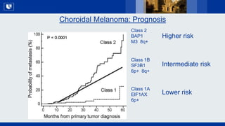 The Past, Present and Future of Uveal Melanoma - 2019 CURE OM Symposium