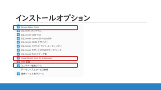 インストールオプション
 