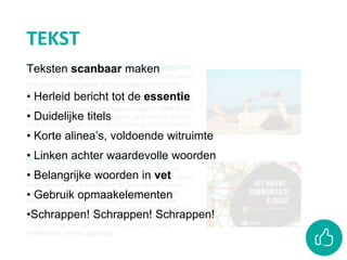 Teksten scanbaar maken
• Herleid bericht tot de essentie
• Duidelijke titels
• Korte alinea’s, voldoende witruimte
• Linken achter waardevolle woorden
• Belangrijke woorden in vet
• Gebruik opmaakelementen
•Schrappen! Schrappen! Schrappen!
TEKST
 