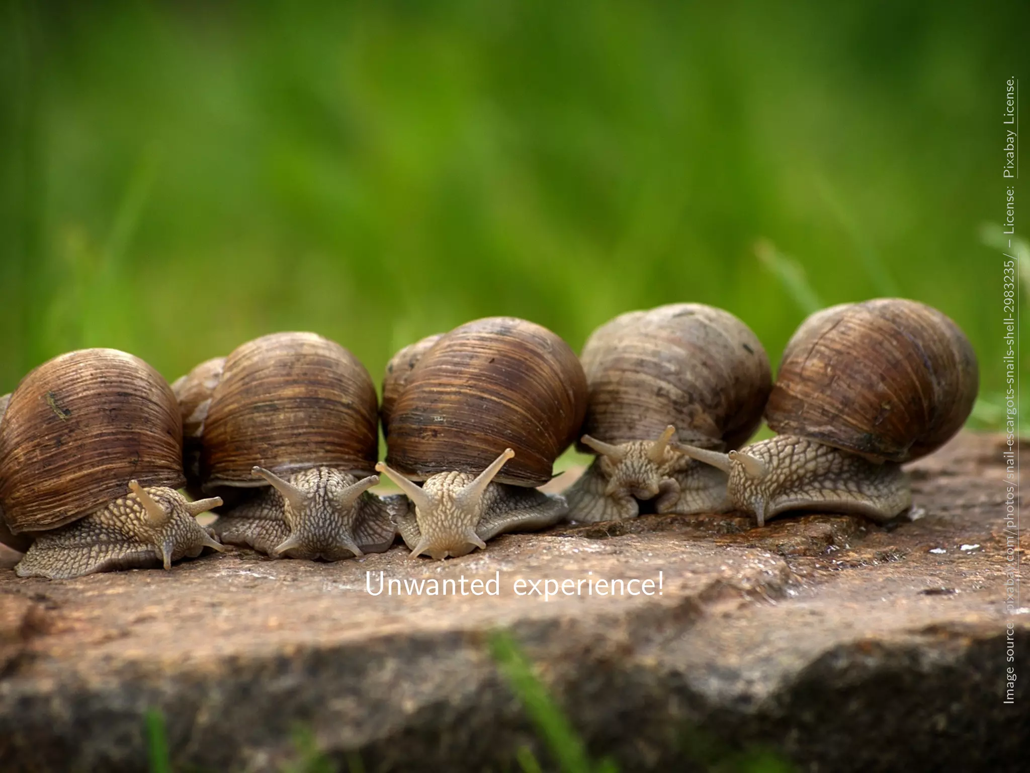 Unwanted experience!
Imagesource:pixabay.com/photos/snail-escargots-snails-shell-2983235/–License:PixabayLicense.
 