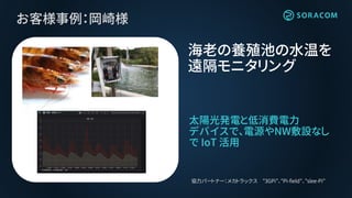 お客様事例：岡崎様
太陽光発電と低消費電力
デバイスで、電源やNW敷設なし
で IoT 活用
海老の養殖池の水温を
遠隔モニタリング
協力パートナー：メカトラックス ”3GPi”、”Pi-field”、”slee-Pi”
 