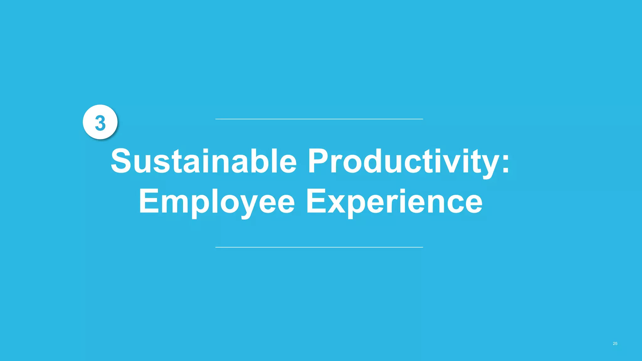 25
Sustainable Productivity:
Employee Experience
3
 