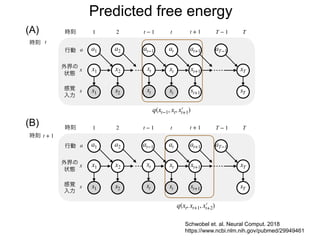 s1 s2 st+ 1 sT
感覚
入力
s
x1 x2 xt+ 1 xT
a1 a2 at at+ 1 aT−
1
t + 1
時刻
行動
外界の
状態
a
x
t T
T −1
1 2
(A)
(B)
st
at−
1
t −1
xt
時刻 t
時刻 t + 1
s1 s2 st+ 1 sT
感覚
入力
s
x1 x2 xt+ 1 xT
a1 a2 at at+ 1 aT−
1
t + 1
時刻
行動
外界の
状態
a
x
t T
T −1
1 2
st
xt
q(xt−
1, xt, x′
t+ 1)
q(xt, xt+ 1, x′
t+ 2)
st
xt
at−
1
t −1
st
xt
Predicted free energy
Schwobel et. al. Neural Comput. 2018
https://www.ncbi.nlm.nih.gov/pubmed/29949461
 