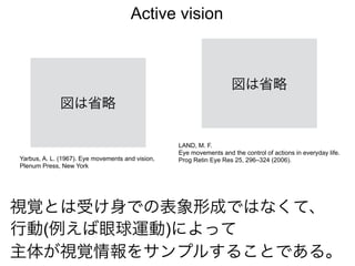 Active vision
LAND, M. F.
Eye movements and the control of actions in everyday life.
Prog Retin Eye Res 25, 296–324 (2006).
Yarbus, A. L. (1967). Eye movements and vision,
Plenum Press, New York
視覚とは受け身での表象形成ではなくて、
行動(例えば眼球運動)によって
主体が視覚情報をサンプルすることである。
図は省略
図は省略
 