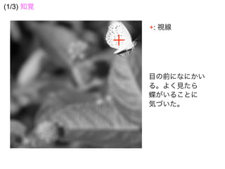 目の前になにかい
る。よく見たら
蝶がいることに
気づいた。
+: 視線
(1/3) 知覚
 