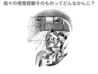 我々の視覚経験そのものってどんなかんじ？
 