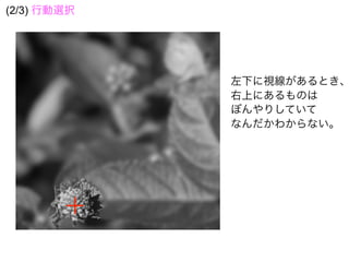 左下に視線があるとき、
右上にあるものは
ぼんやりしていて
なんだかわからない。
(2/3) 行動選択
 