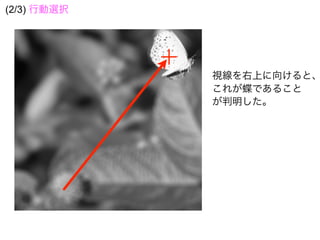 視線を右上に向けると、
これが蝶であること
が判明した。
(2/3) 行動選択
 