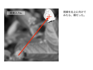 感覚入力s1
視線を右上に向けて
みたら、蝶だった。
 