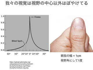 我々の視覚は視野の中心以外はぼやけてる
https://upload.wikimedia.org/
wikipedia/commons/thumb/2/27/
AcuityHumanEye.svg/724px-
AcuityHumanEye.svg.png
親指の幅 = 1cm
視野角にして1度
 